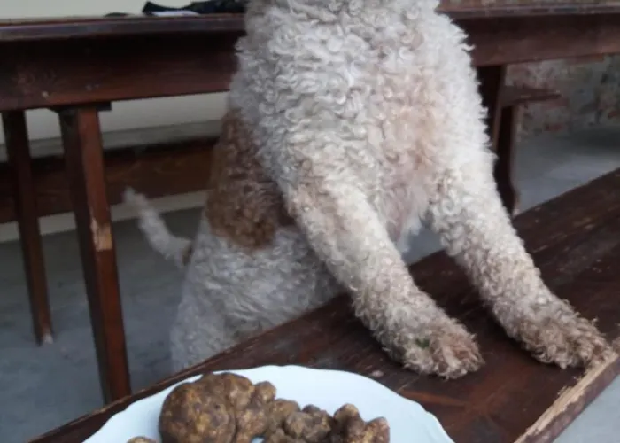 Antica Grancia Benedettina