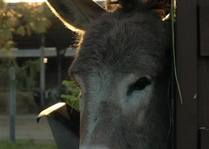 Antica Grancia Benedettina Colorno